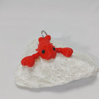 Lobster Keychain – Flexible, Colourful & Eco-Friendly Ocean Friend (6cm)